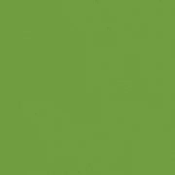 WEAVE CARDSTOCK - LIME